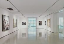 청와대에서 장애예술인 전시회·음악회 연다 assorted paintings on white painted wall