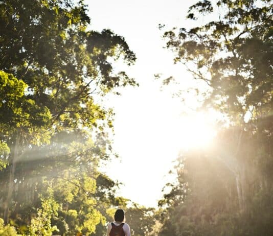 봄 햇살 아래 걷기, 자연 속에서의 재생과 평화 person carrying backpack walking in road beside trees