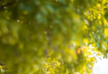 정부 “이탈 전공의, 전문의 자격 취득하려면 20일까지 복귀를” a couple of people standing next to each other