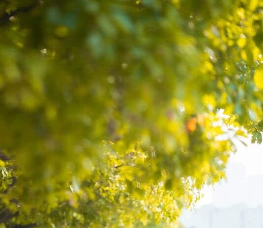 정부 “이탈 전공의, 전문의 자격 취득하려면 20일까지 복귀를” a couple of people standing next to each other