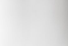 스트레스, 똑똑하게 관리하는 방법 green leafed plant