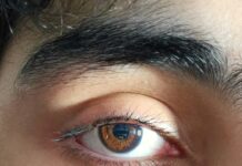 “눈이 건조하고, 초점이 흐려요”… 디지털 시대의 ‘안구 피로’ 대처법 Close-up photo of a brown human eye.