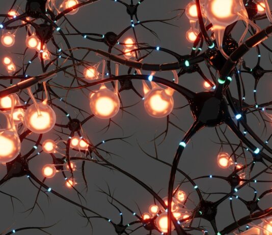 ‘브레인 피트니스’ 시대, 뇌건강을 지키는 새로운 라이프스타일이 뜬다 A bunch of lights that are on a tree