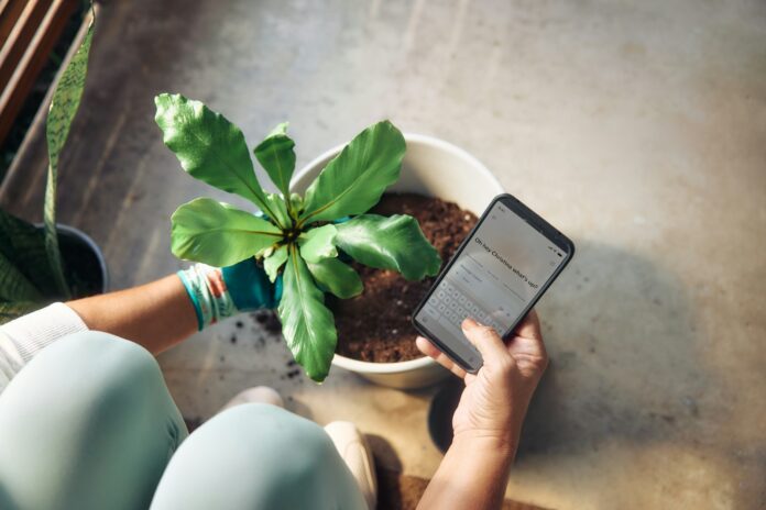Photo by Microsoft Copilot Person planting a houseplant and checking phone