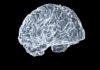 “뇌 건강, 작은 습관으로 지킨다”…일상에서 실천 가능한 브레인 케어 트렌드 주목 a close up of a human brain on a black background